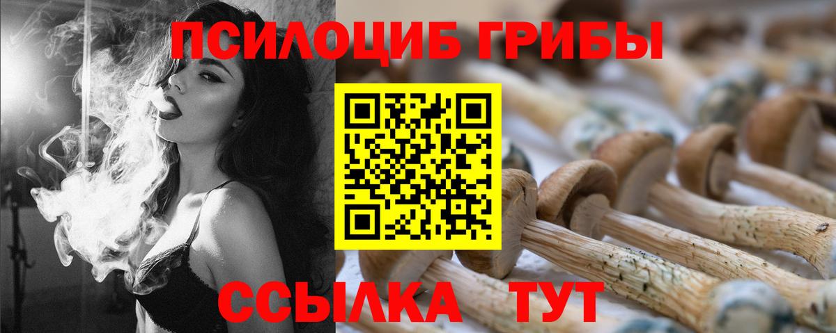 Галлюциногенные грибы Psilocybine cubensis  Вход с VPN  Абакан 